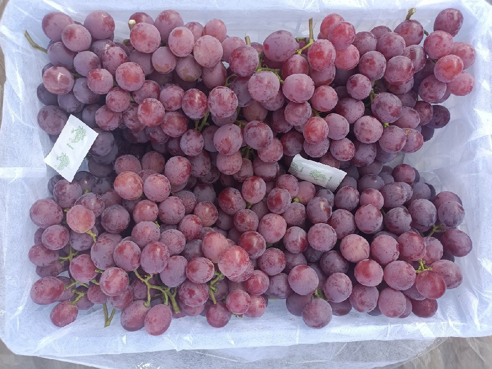 Fresh Grape