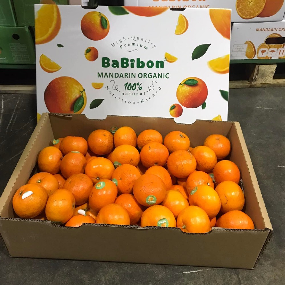 Fresh Mandarin